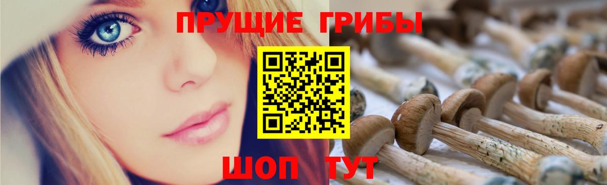 Псилоцибиновые грибы мухоморы  Вход с VPN  где можно купить наркотик  Оренбург 